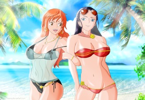 1077 robin and nami in beach style by reito sama d4oy5uj
